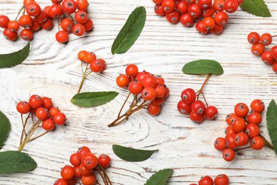 Fresh ripe rowan berries and green leaves on white wooden table, flat lay