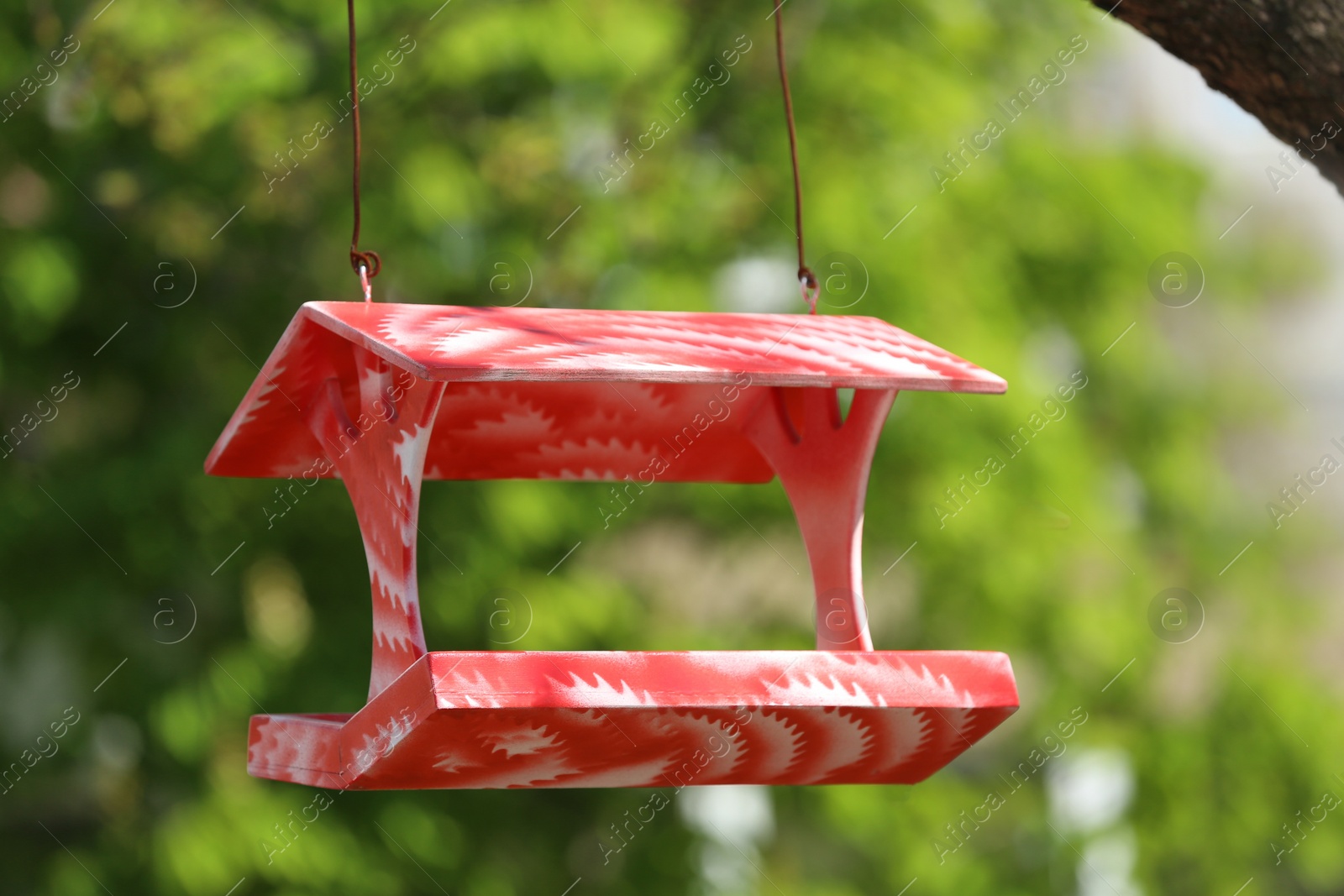 Photo of Color handmade bird feeder hanging outdoors on sunny day