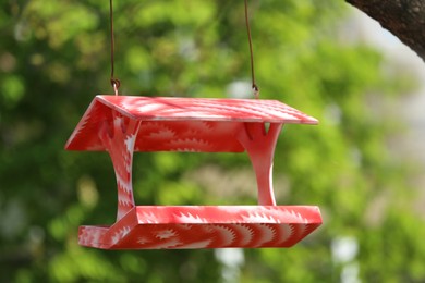 Color handmade bird feeder hanging outdoors on sunny day