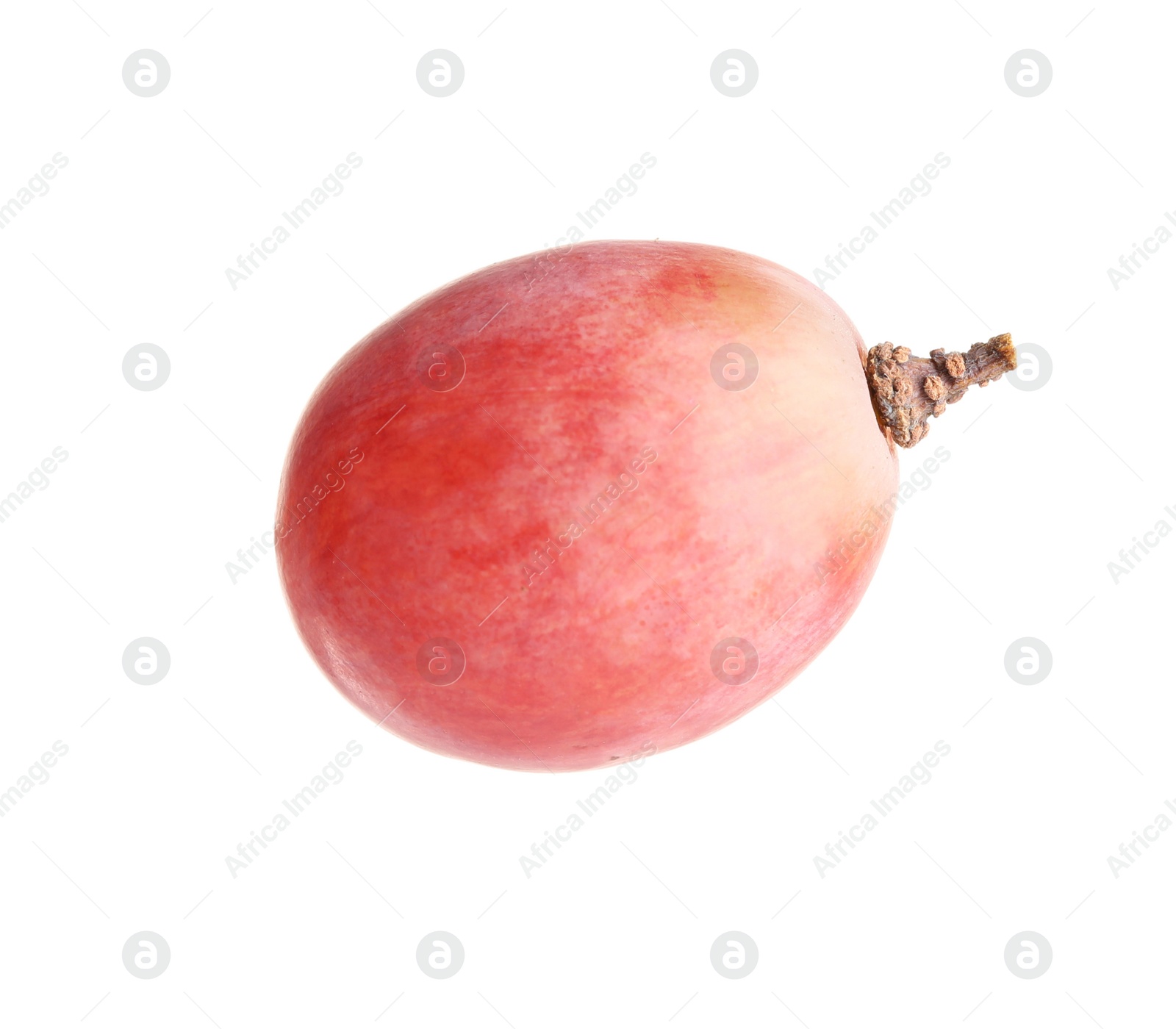 Photo of Delicious ripe red grape isolated on white