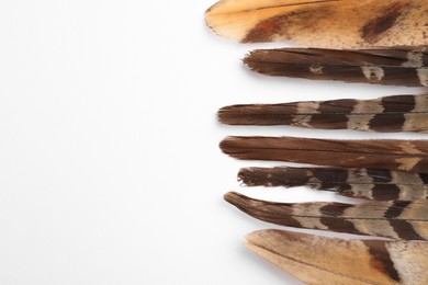 Photo of Many beautiful bird feathers on white background, flat lay. Space for text