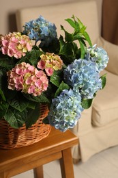 Photo of Beautiful hortensia flowers in basket on wooden table indoors