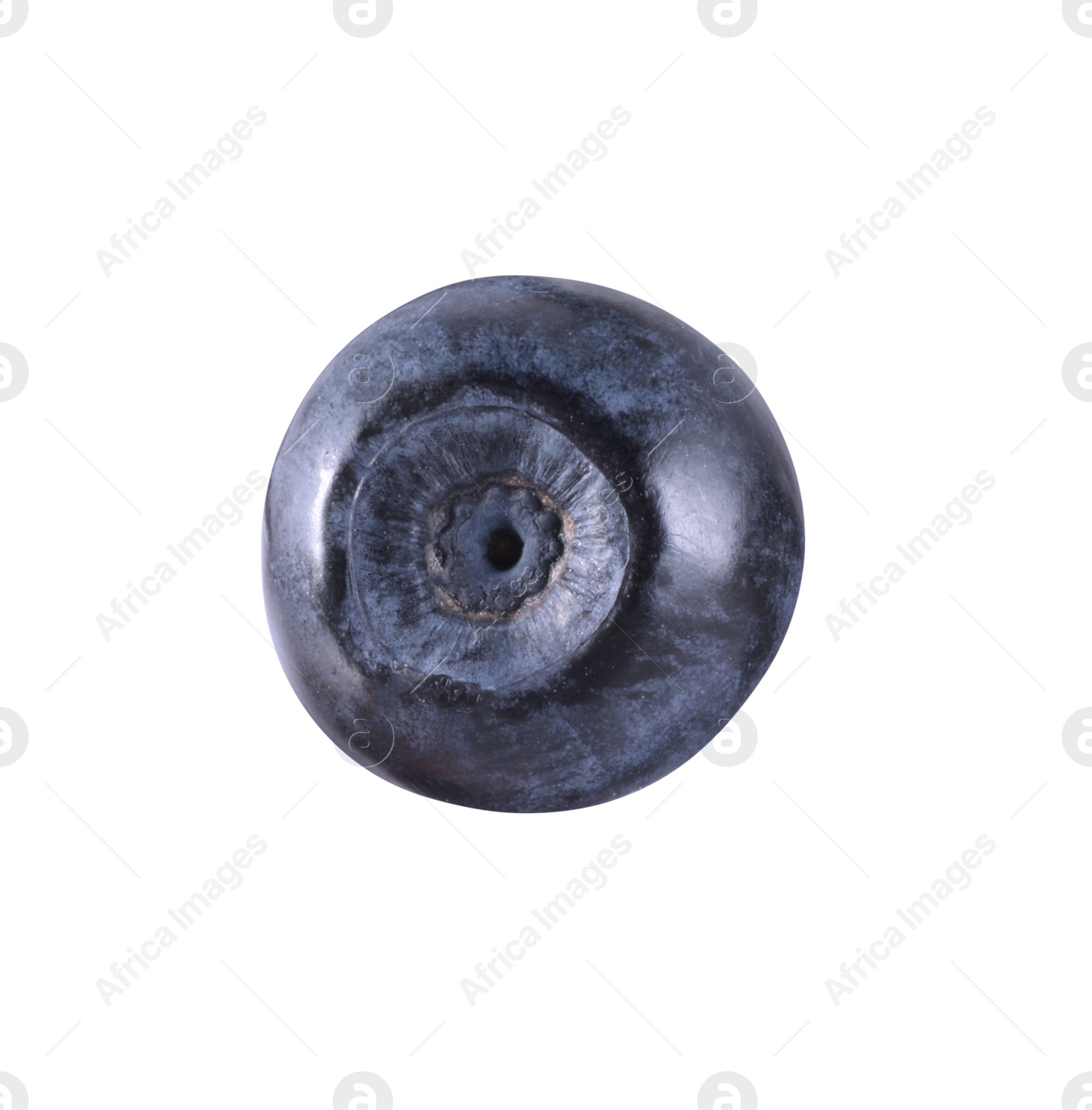 Photo of One ripe bilberry isolated on white. Seasonal berries