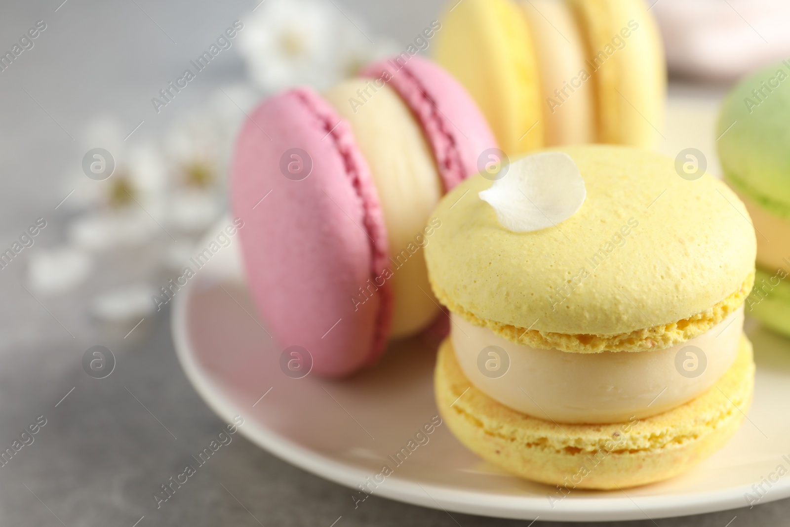 Photo of Delicious colorful macarons on grey table, closeup