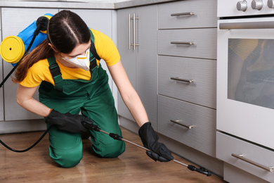 Pest control worker spraying pesticide in kitchen