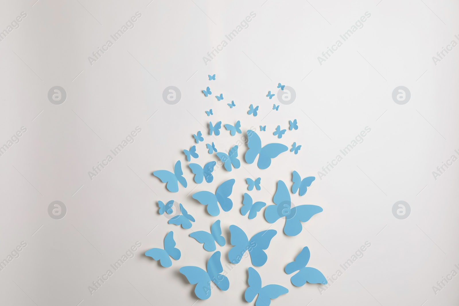 Image of Light blue paper butterflies on white wall