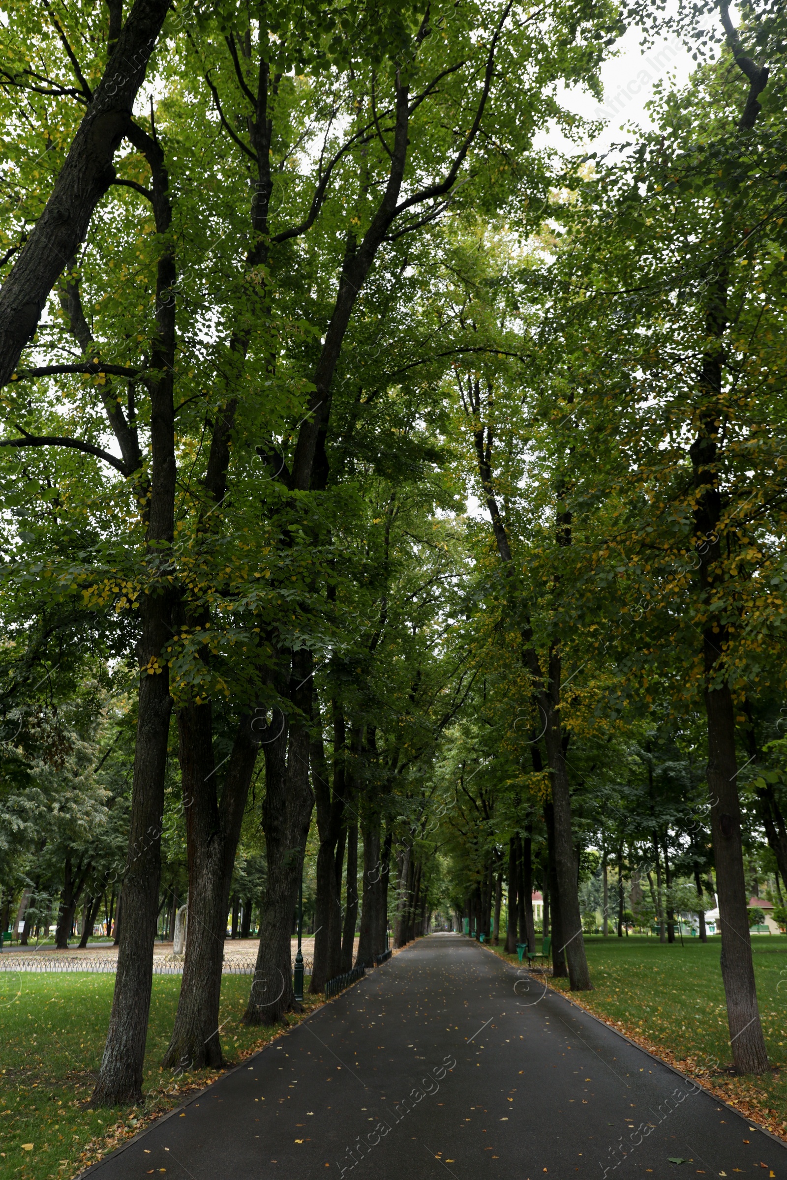 Photo of Beautiful view of pathway in park on autumn day