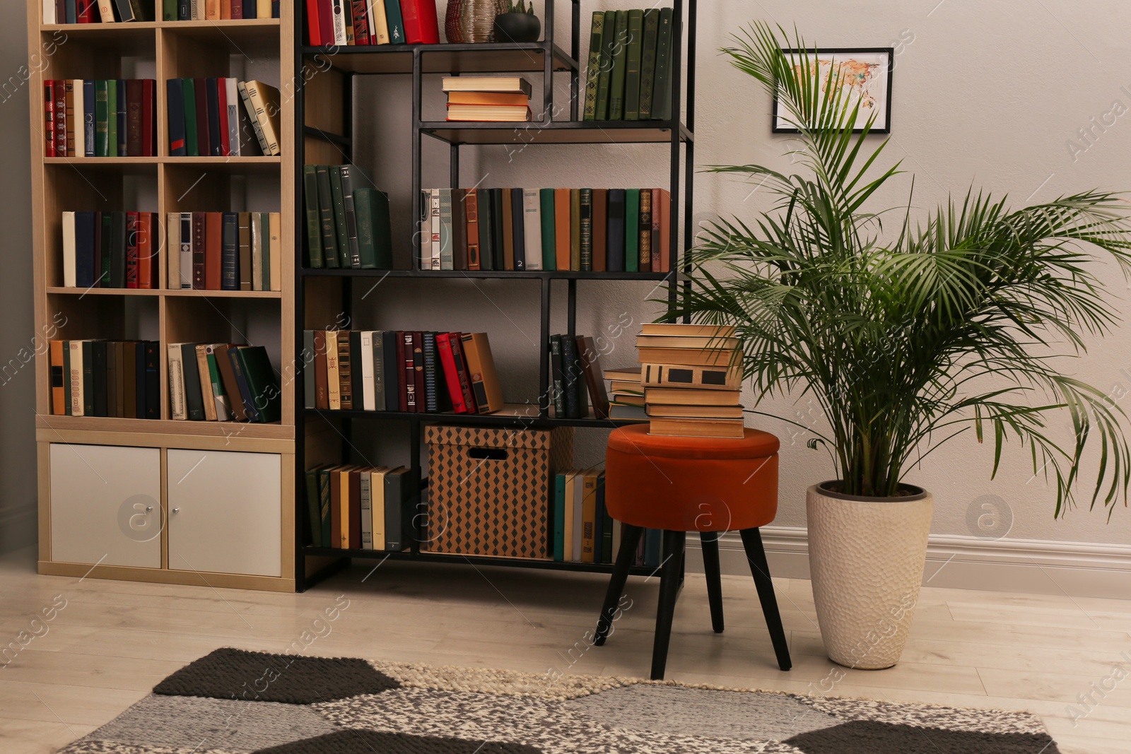 Photo of Cozy home library interior with collection of different books on shelves and beautiful houseplant