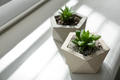 Photo of Beautiful succulent plants on white wooden window sill, closeup