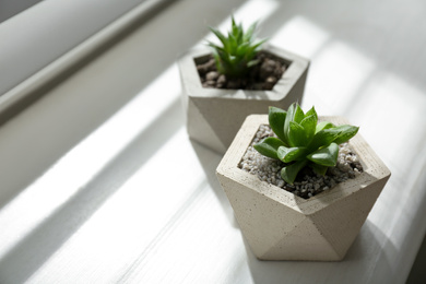 Beautiful succulent plants on white wooden window sill, closeup