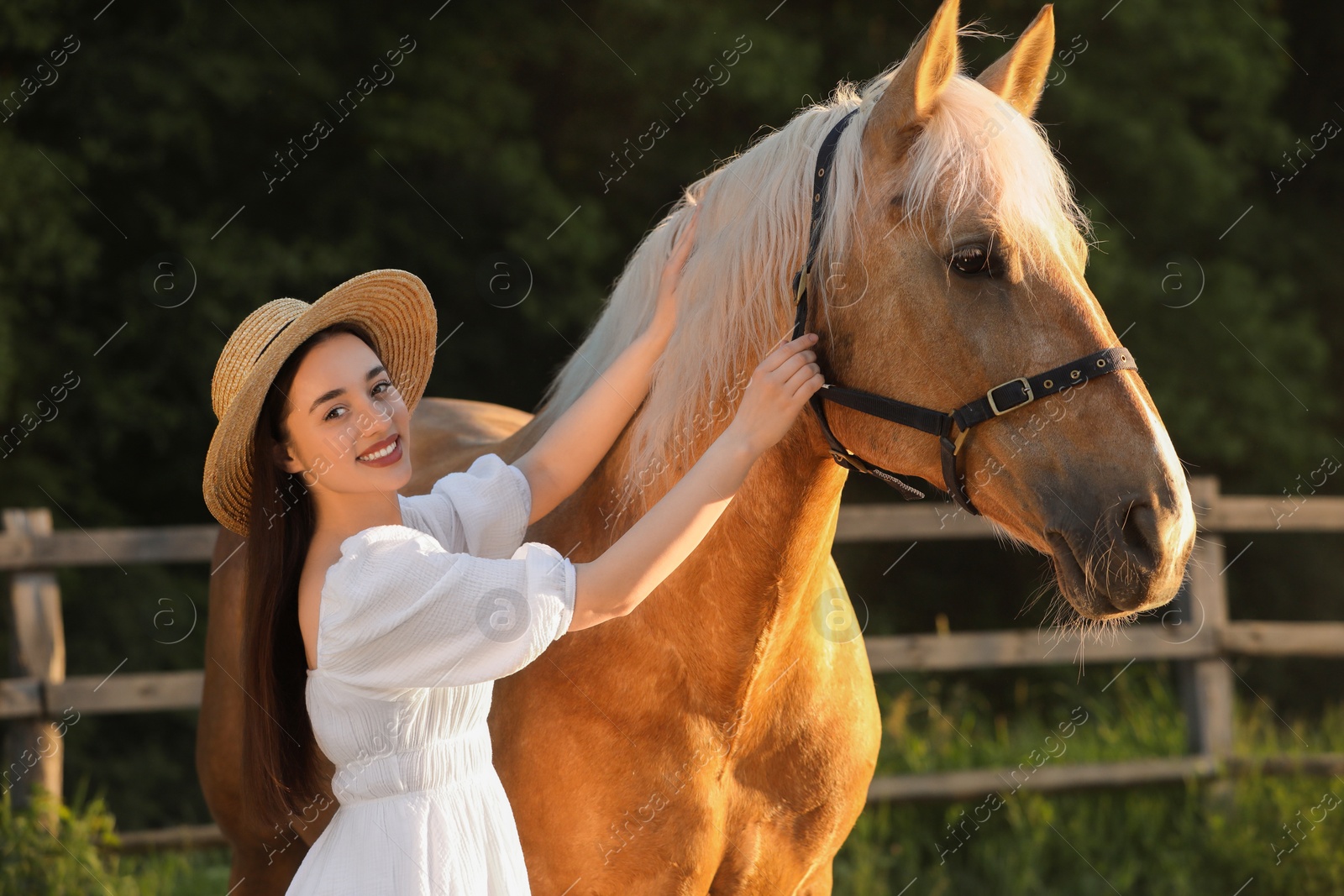 Photo of Woman with adorable horse outdoors. Lovely domesticated pet