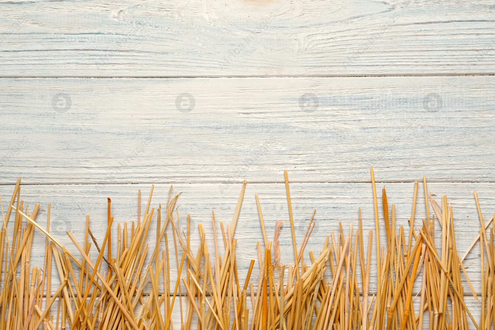 Photo of Dried hay on white wooden background, flat lay. Space for text