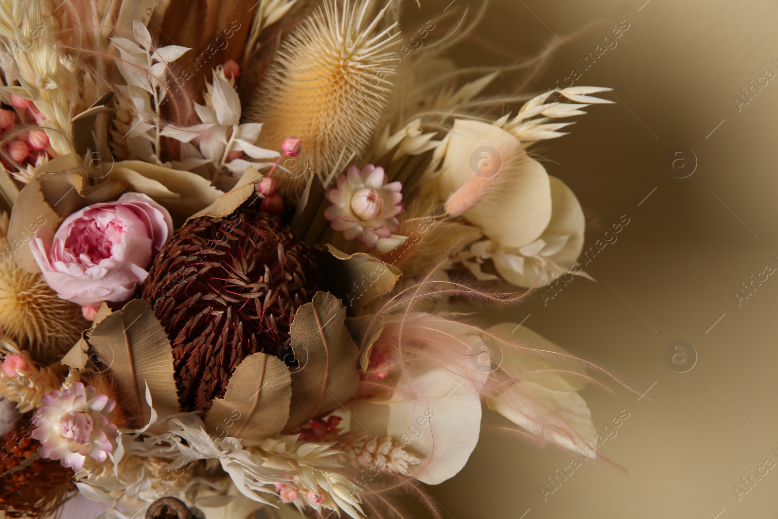 Photo of Beautiful elegant dried flower bouquet on beige background, closeup view
