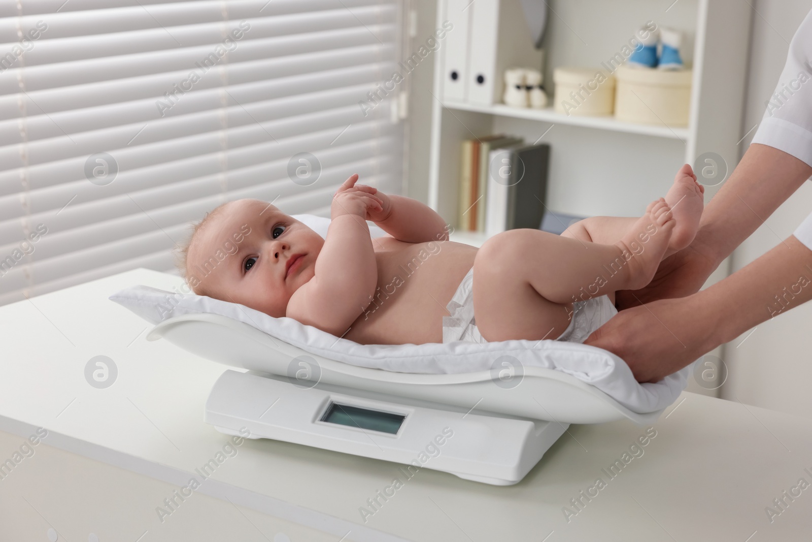 Photo of Pediatrician weighting cute little baby in clinic, closeup