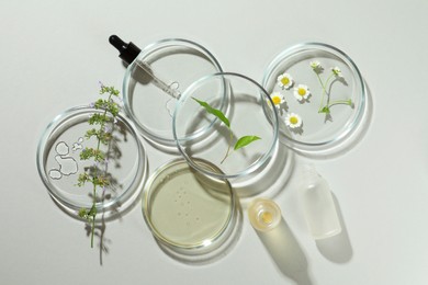 Flat lay composition with Petri dishes and plants on light grey background