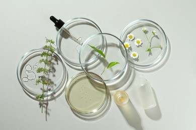 Photo of Flat lay composition with Petri dishes and plants on light grey background