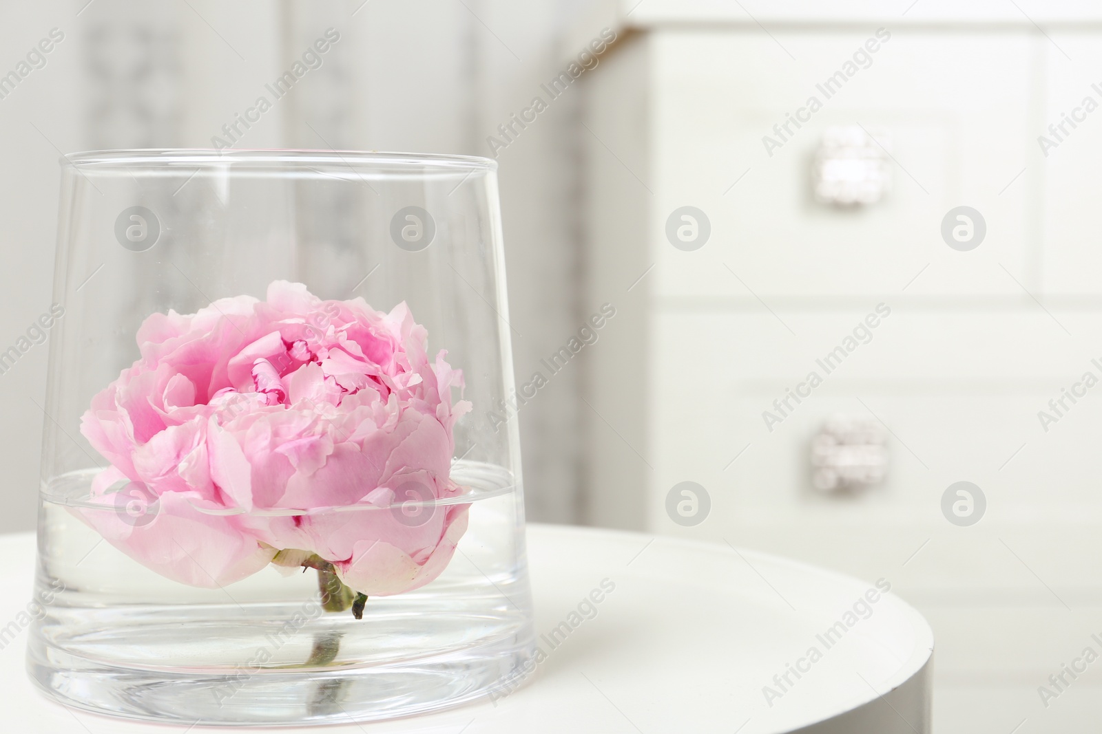 Photo of Beautiful pink peony bud in vase on white table. Space for text