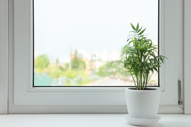 Photo of Chamaedorea palm in pot on windowsill indoors, space for text. House plant