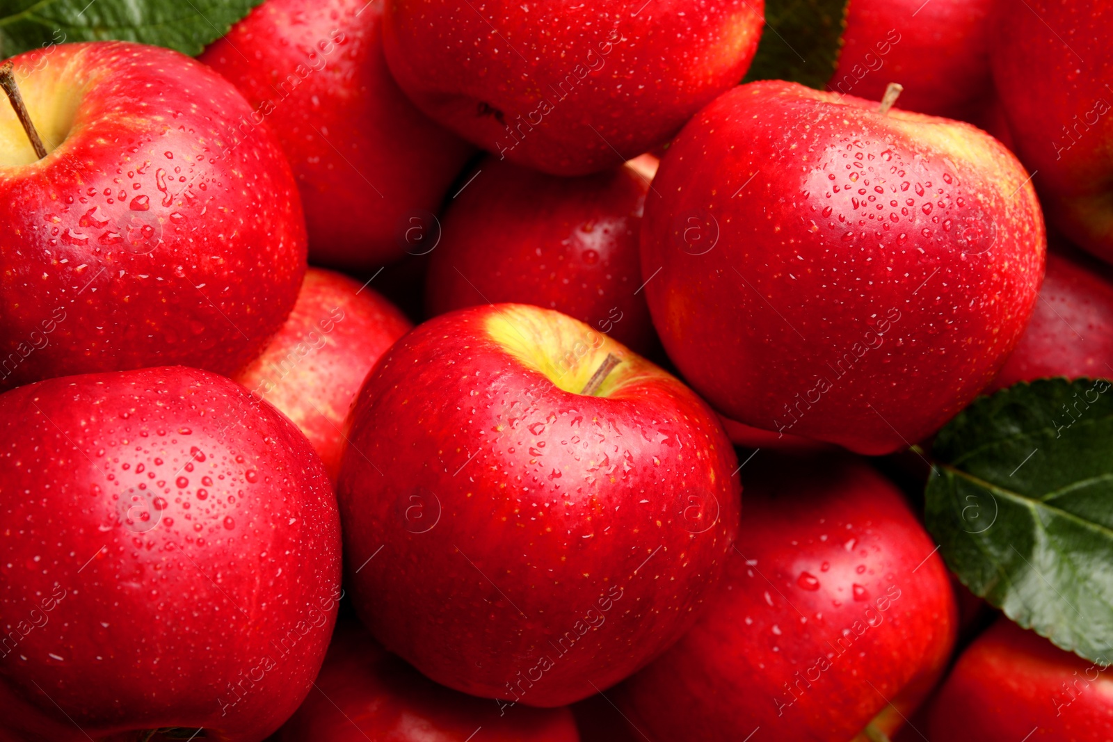 Photo of Pile of wet red apples with leaves as background, closeup