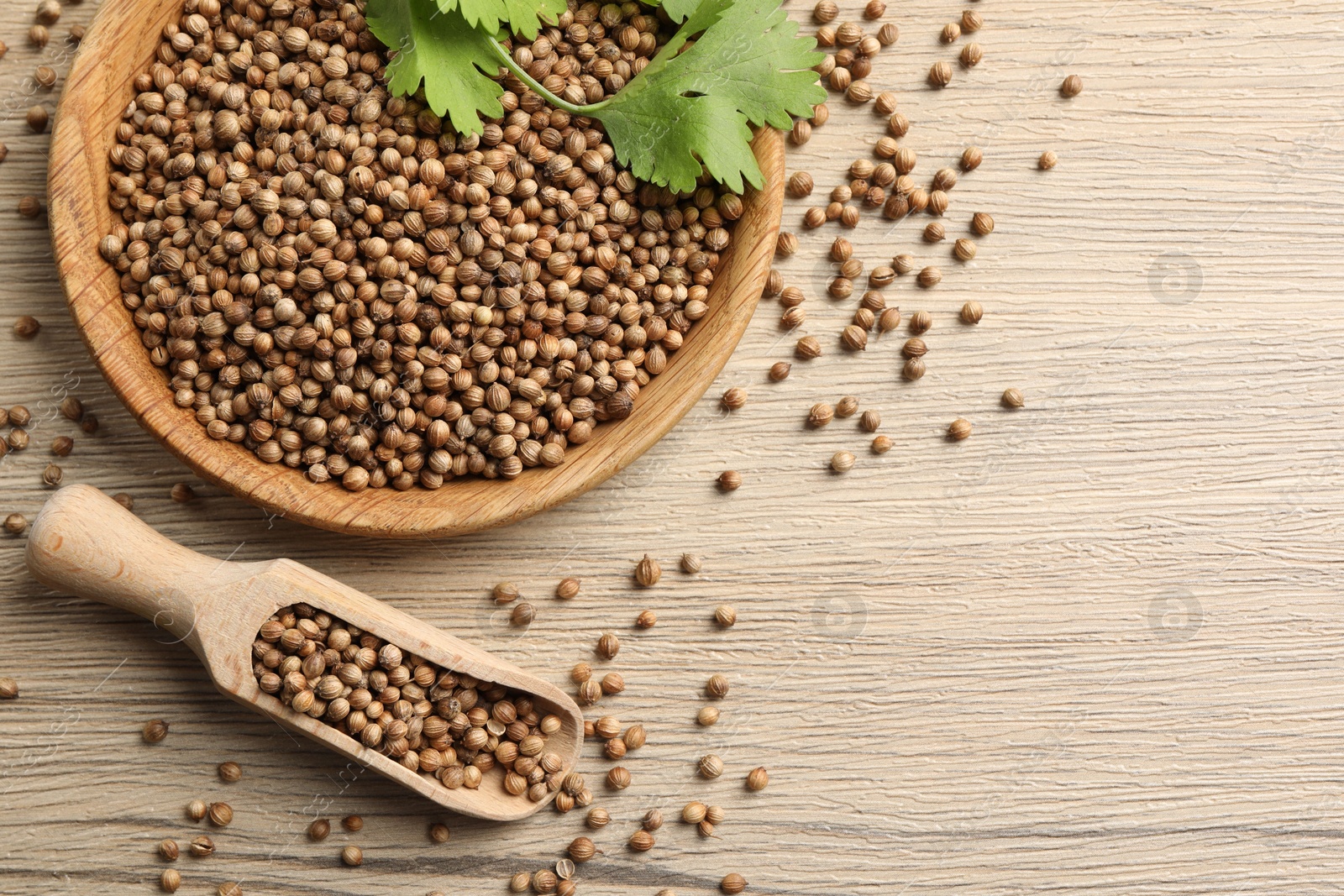 Photo of Dried coriander seeds with green leaves in bowl and scoop on wooden table, top view. Space for text