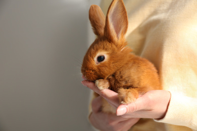 Photo of Young woman with adorable rabbit indoors, closeup. Lovely pet