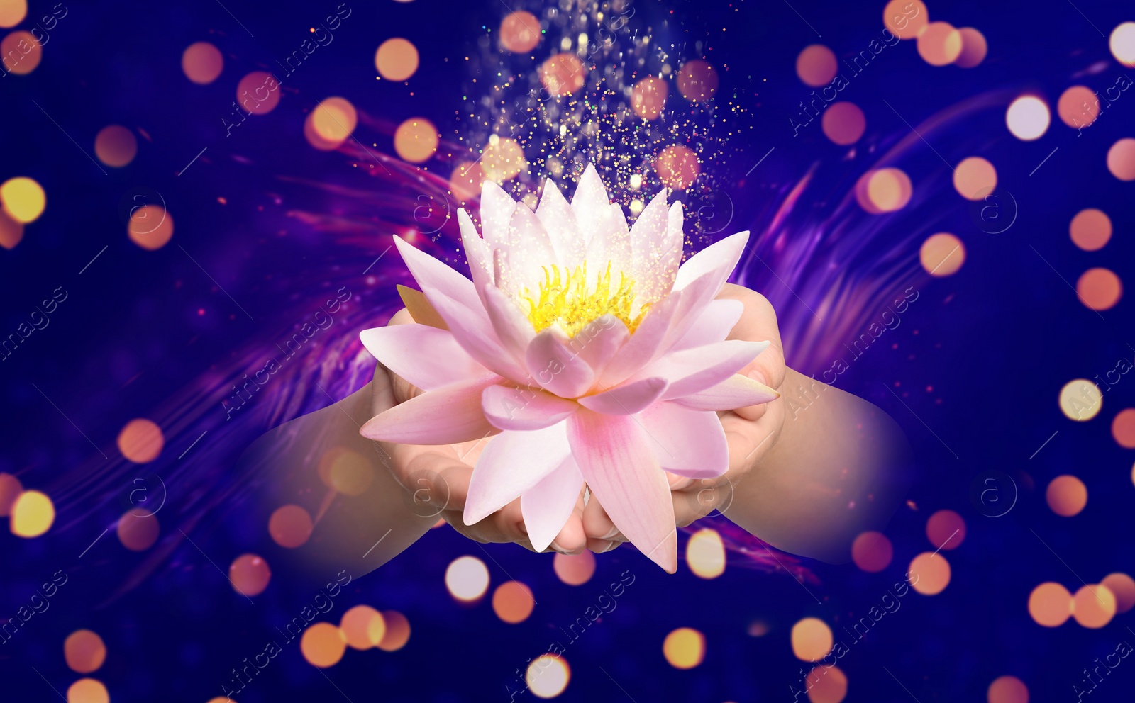 Image of Woman holding beautiful lotus flower on bright background, closeup