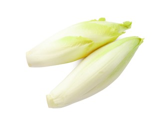 Photo of Raw ripe chicories on white background, top view