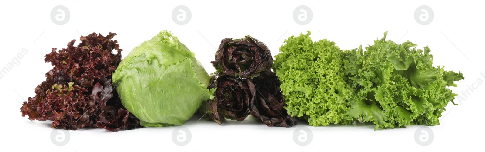 Photo of Different sorts of lettuce on white background