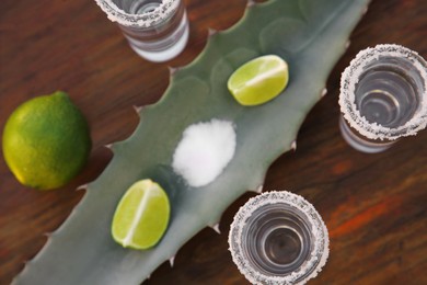 Photo of Mexican tequila shots, salt, lime and green leaf on wooden table, flat lay. Drink made of agava