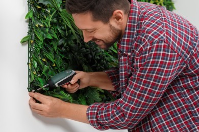 Man with screwdriver installing green artificial plant panel on white wall
