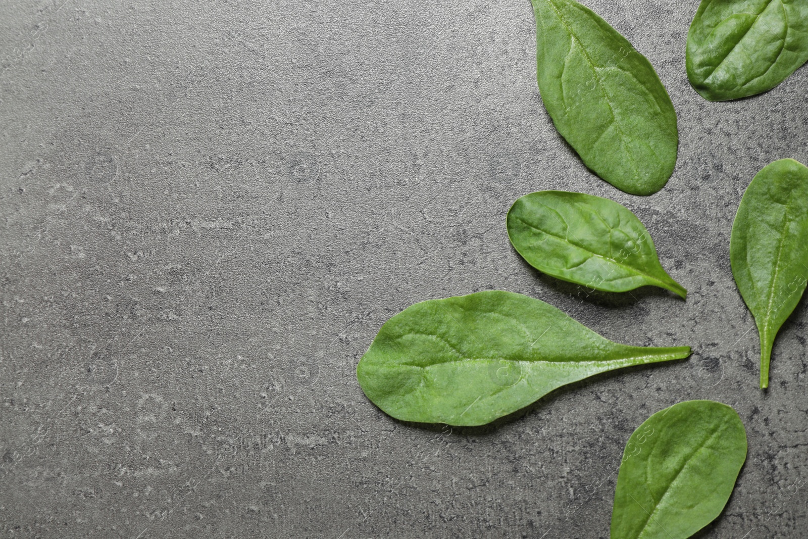 Photo of Fresh green healthy spinach on grey table, flat lay. Space for text