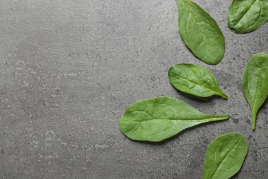 Fresh green healthy spinach on grey table, flat lay. Space for text