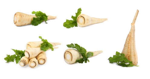 Collage with fresh parsnips on white background