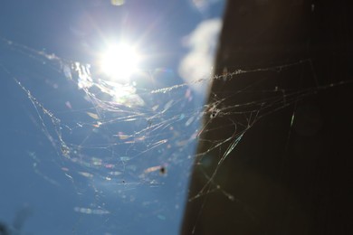 Photo of Cobweb against blue sky outdoors on sunny day, low angle view