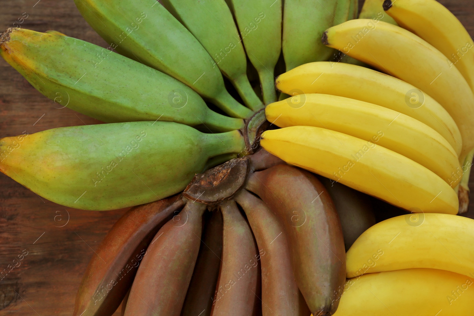 Photo of Different sorts of bananas on wooden table, top view