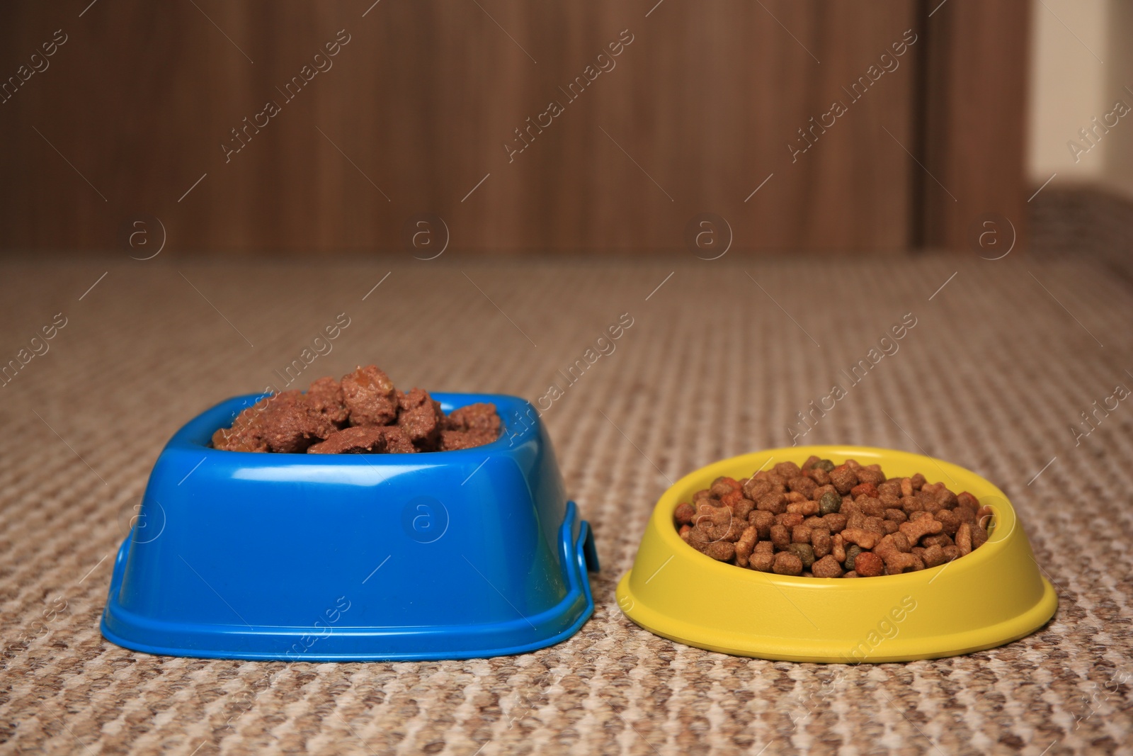 Photo of Dry and wet pet food in feeding bowls on soft carpet