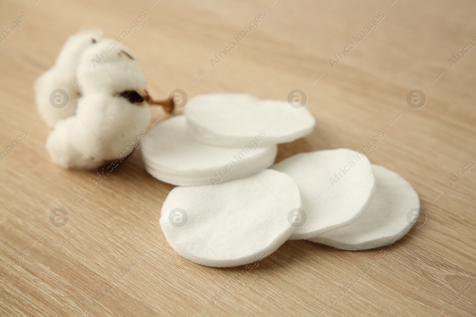 Photo of Cotton pads and flower on wooden table, closeup