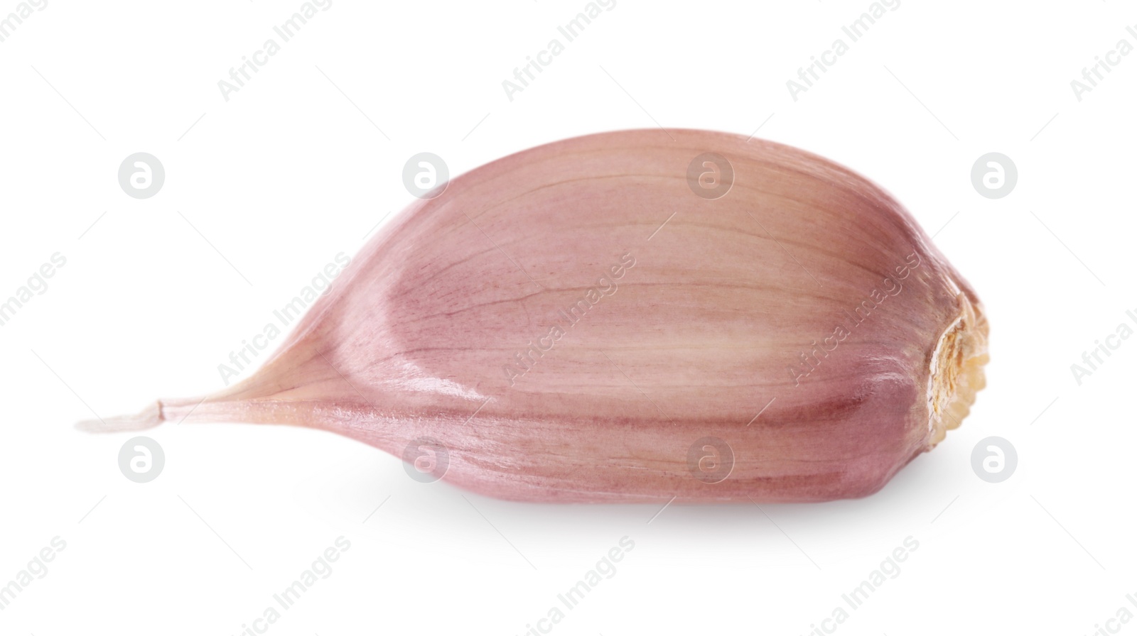 Photo of One unpeeled clove of fresh garlic isolated on white
