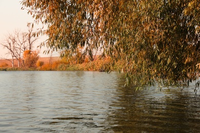 Photo of Beautiful view of lake near forest on autumn day