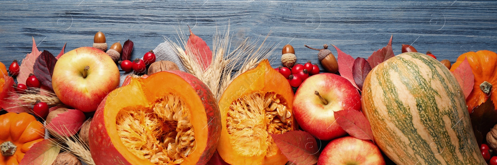 Image of Happy Thanksgiving Day. Flat lay composition with vegetables, fruits and autumn leaves on blue wooden table, banner design