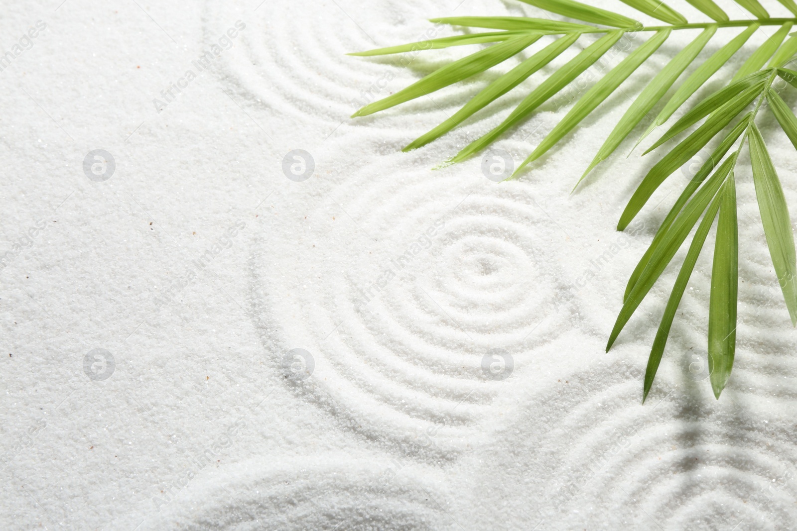 Photo of Zen rock garden. Circle patterns and green leaves on white sand