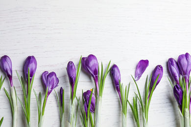 Photo of Beautiful spring crocus flowers on white wooden table, flat lay. Space for text