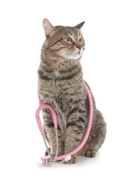 Photo of Cute cat with stethoscope as veterinarian doc on white background