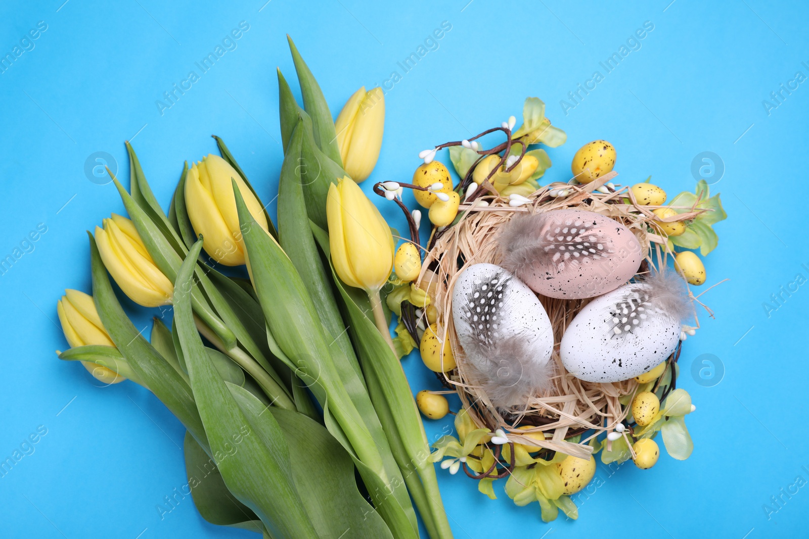 Photo of Flat lay composition with beautiful flowers and eggs on light blue background. Easter celebration