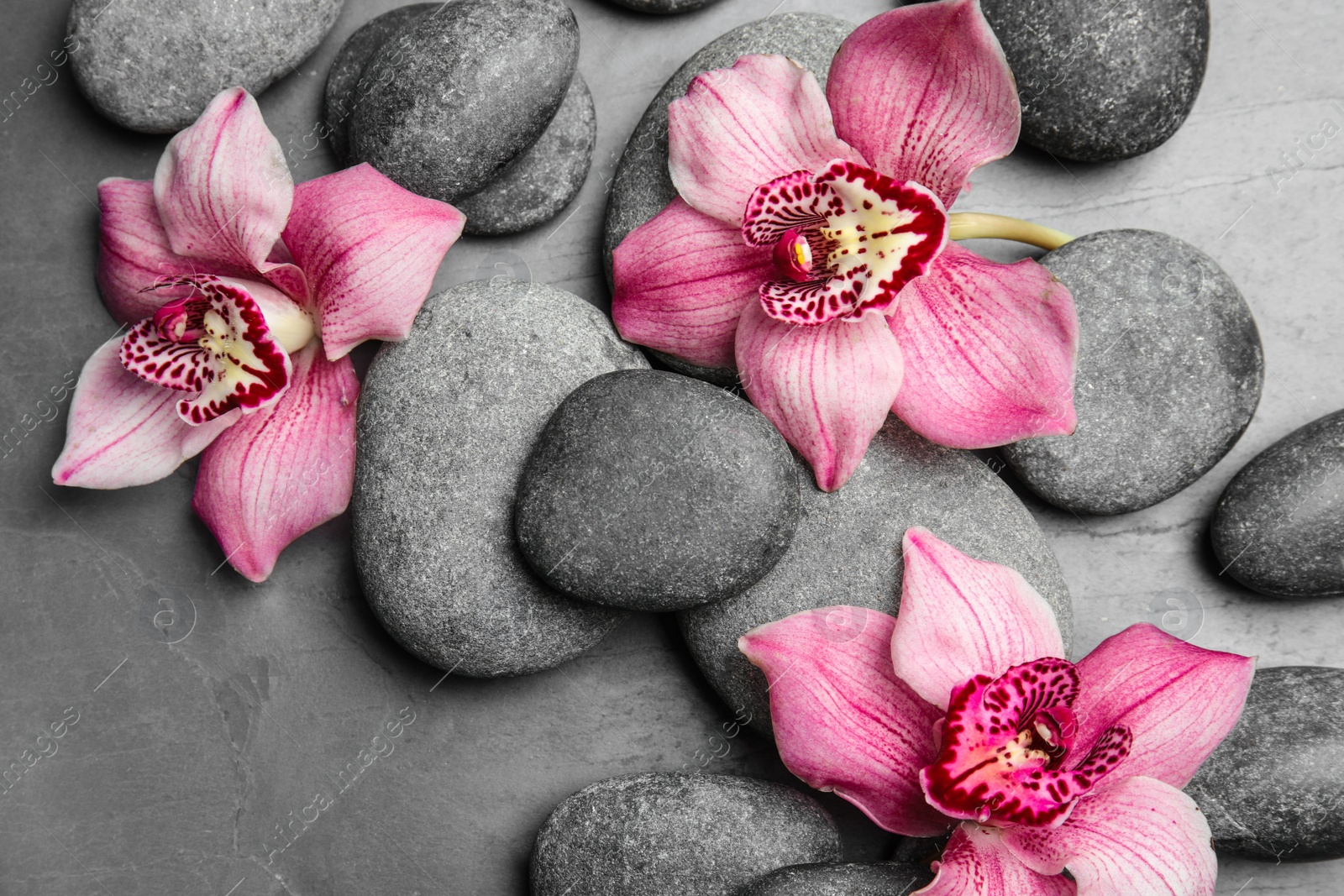 Photo of Zen stones and exotic flowers on dark background, above view