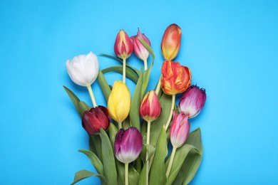 Photo of Beautiful colorful tulip flowers on light blue background, top view