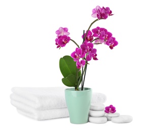 Photo of Composition with orchid in flowerpot and spa stones on white background