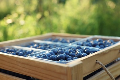 Photo of Boxfresh blueberries outdoors, closeup. Seasonal berries