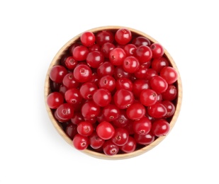 Fresh ripe cranberries in bowl isolated on white, top view