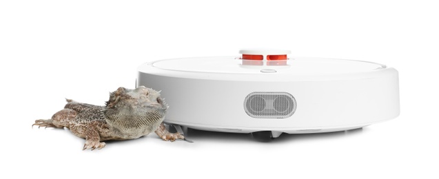Photo of Robotic vacuum cleaner and bearded dragon lizard on white background